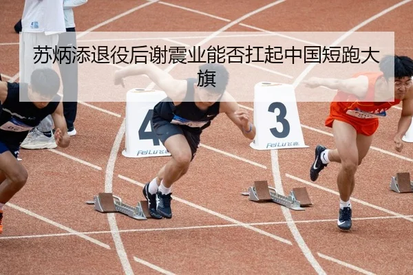 苏炳添退役后谢震业能否扛起中国短跑大旗